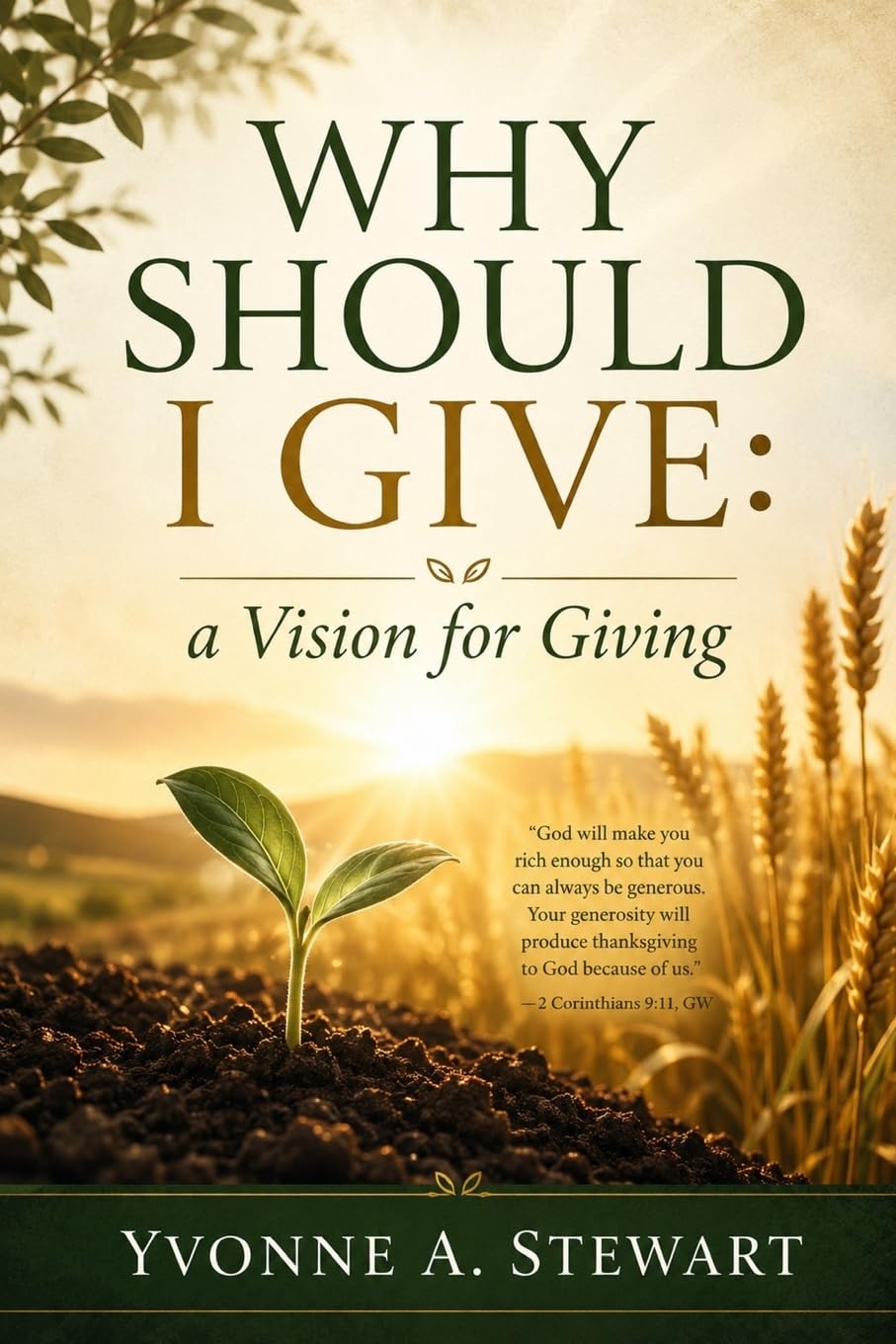 Why Should I Give?: A Vision for Giving (paperback)