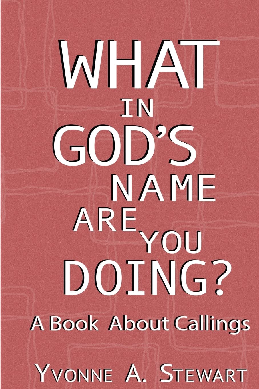 What In God's Name Are You Doing?: A Book About Callings (paperback)