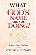 What In God's Name Are You Doing?: A Book About Callings (Kindle)